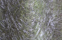 Tresoweshill fibreglass roof work